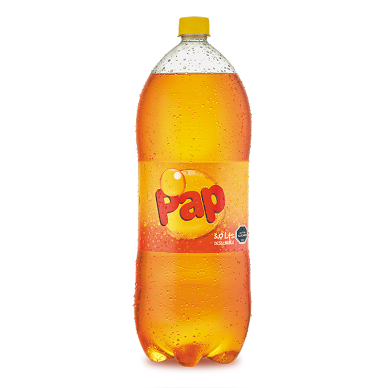 Pap 3 Litros Desechable