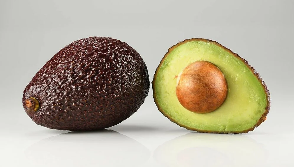 Palta Hass Chilena
